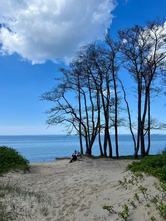 Уютная квартира на берегу моря, рядом Сосновый Бор, казино, Резиденция