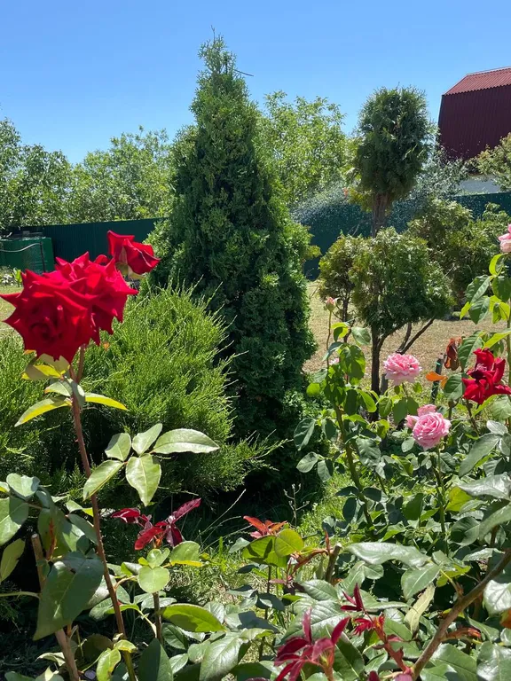 Море у дачи