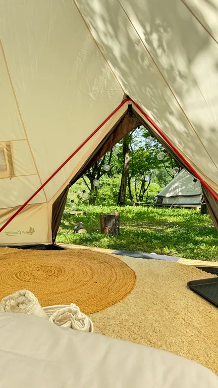 Уютный шатер среди деревьев на берегу озера