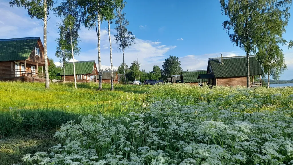 Коттедж Коттедж на берегу озера,рыбалка и отдых всей семьей! — Родионово