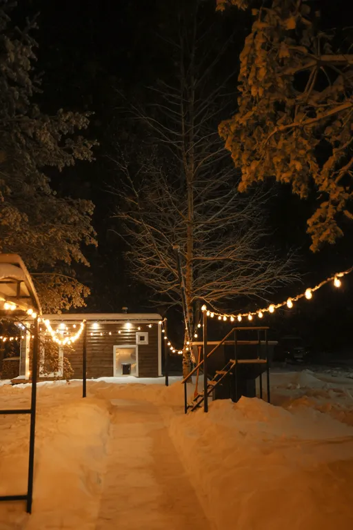 Уникальный купольный дом среди хвойного леса