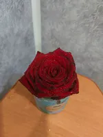 Надежда Малышева