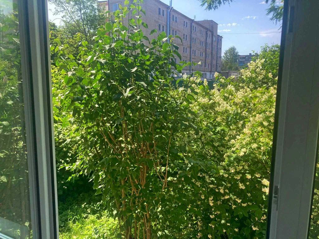 Квартира для отдыха и оздоровления в центре рядом с санаторием Полисть