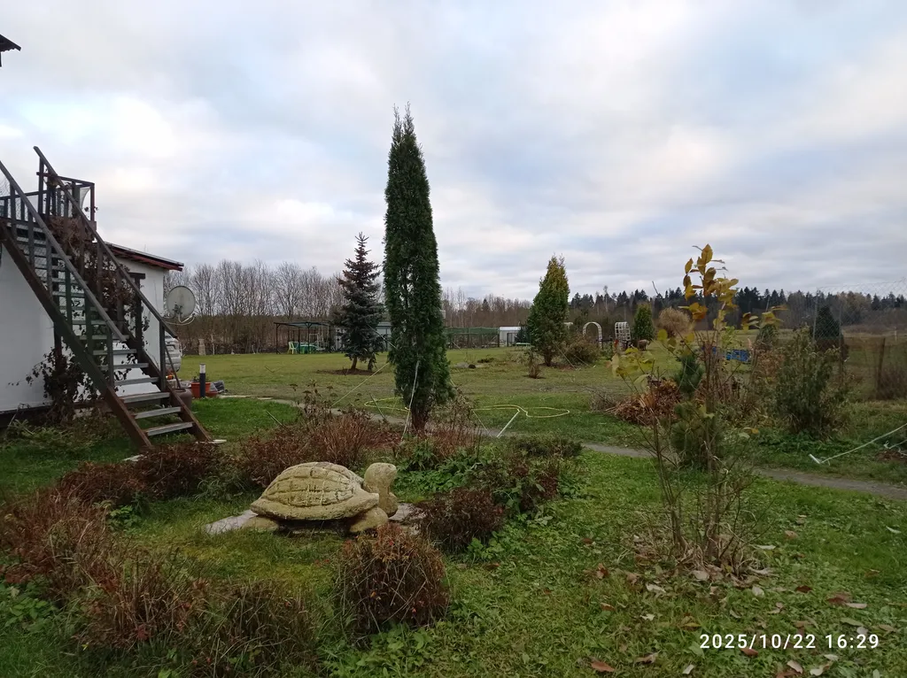 Коттедж Домик хоббита — Синковицы