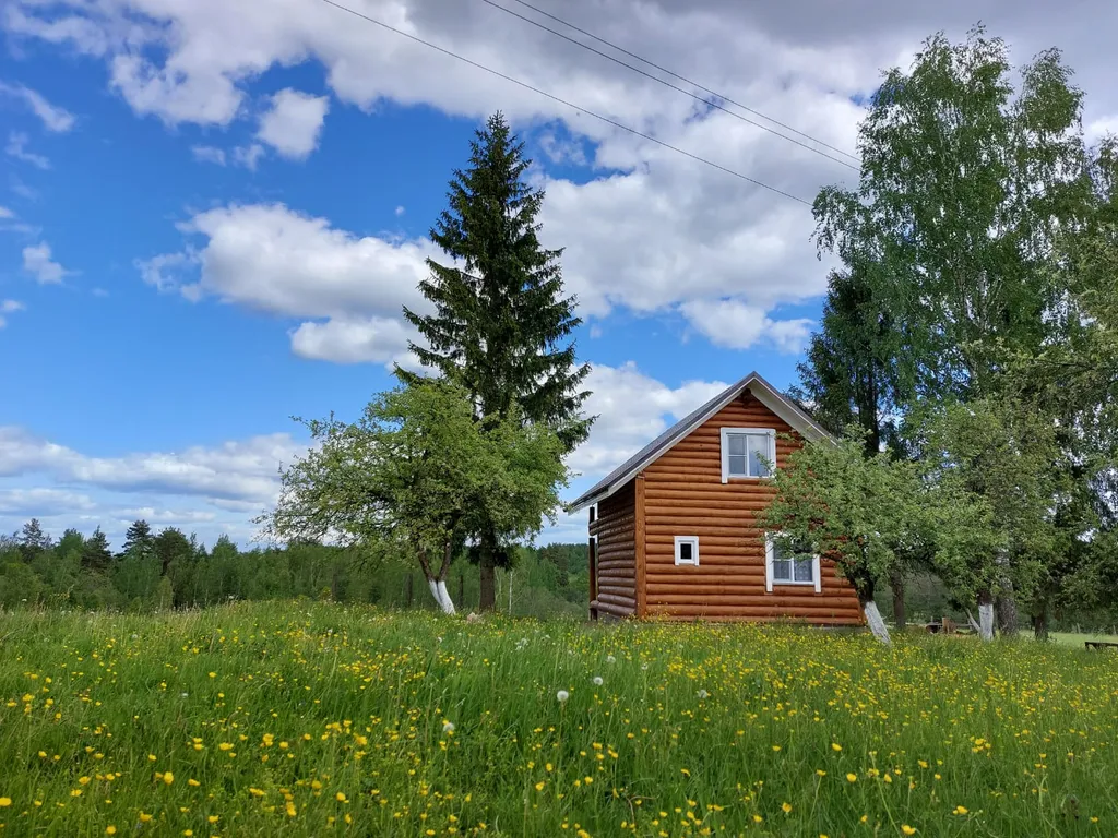 Коттедж 2-комнатный Дом — аренда посуточно в Пушкинские Горы