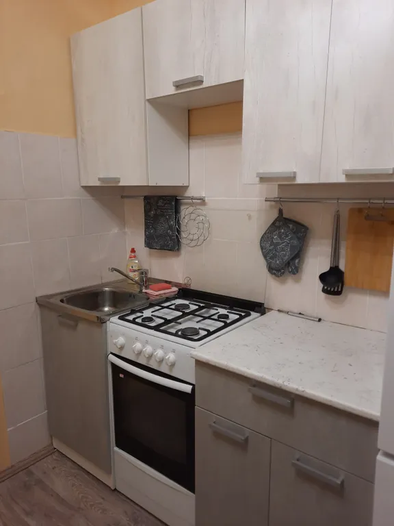 Однокомнатная квартира для командировочных