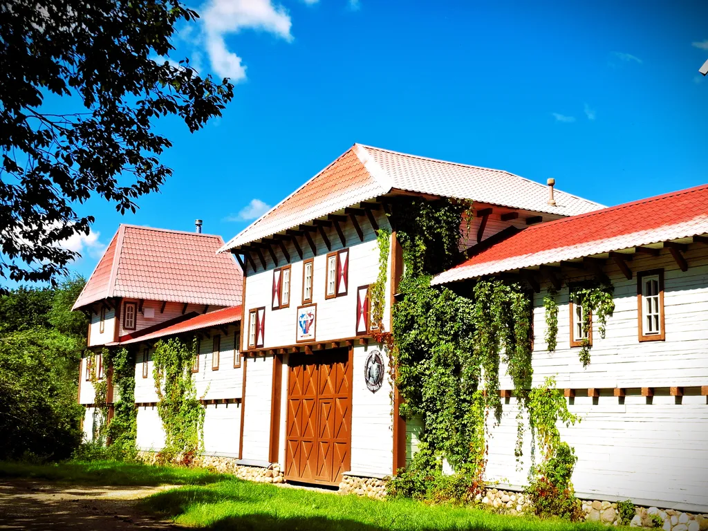 Дом-замок для большой компании