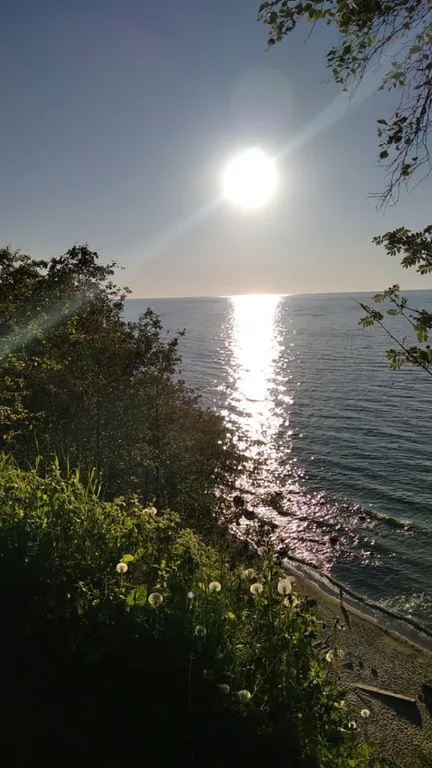 Двухкомнатные апартаменты bellevue в доме спа баден баден