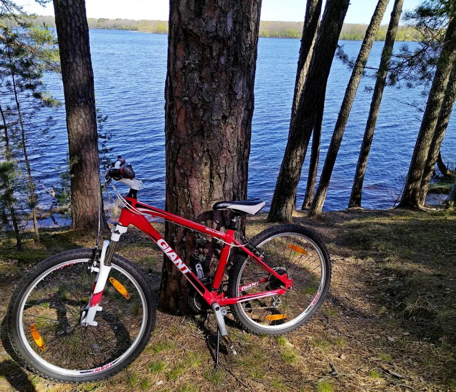 Усадьба Терраса на берегу озера