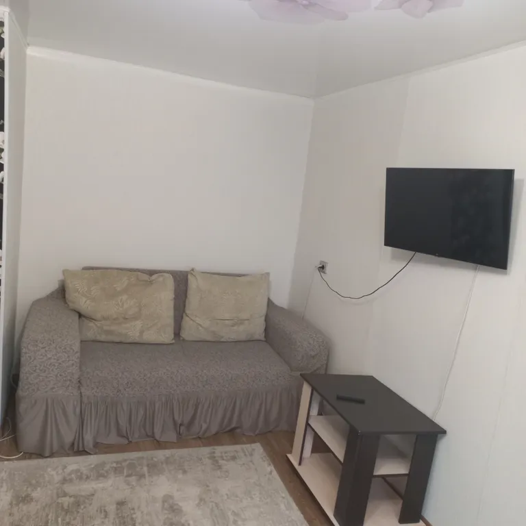 Уютная однокомнатная квартира