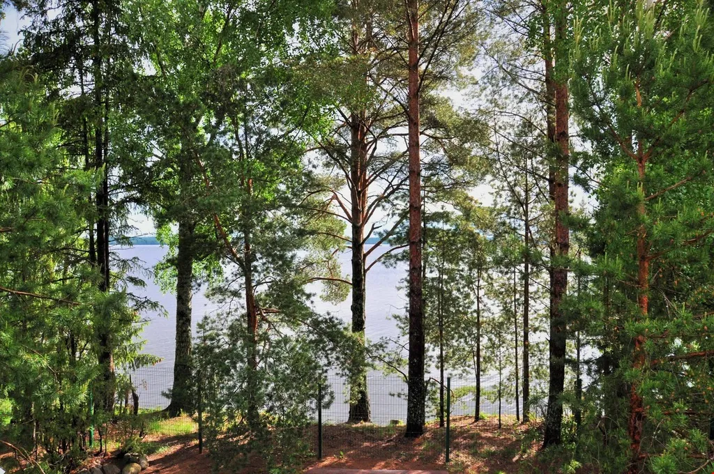 Коттедж Дом на озере Волго — Казаково