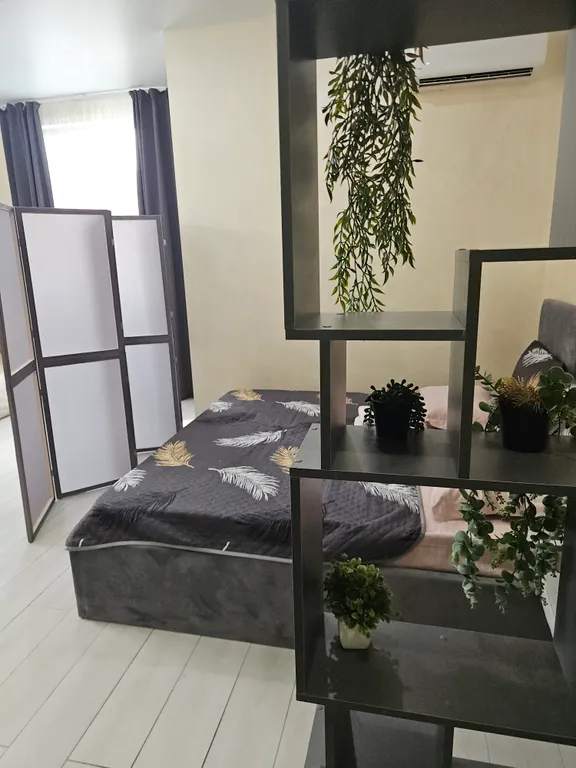 Апартаменты  Deluxe & SPA, бассейн, сауна