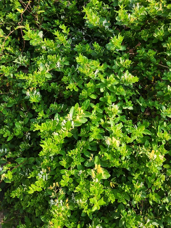 Дом на берегу моря