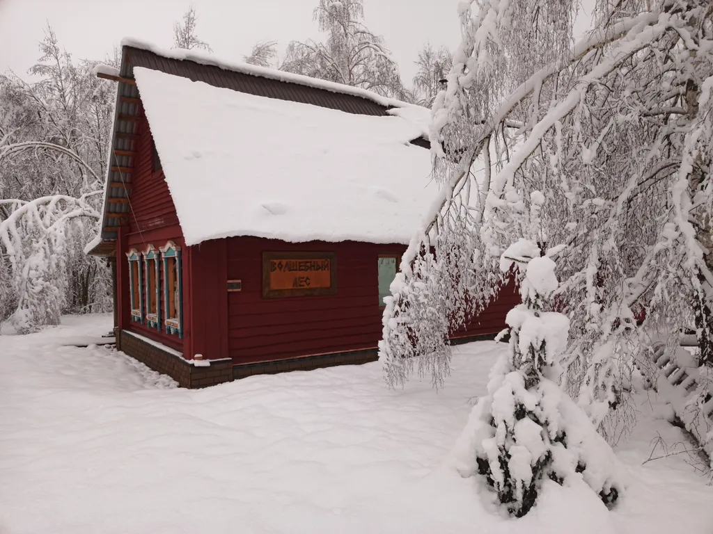 Коттедж Дом в лесу — аренда посуточно в Тверь