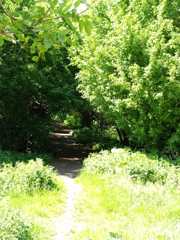 Квартира Комфортная квартира в центре, в новом доме,у озера и Музея Янтаря — Калининград