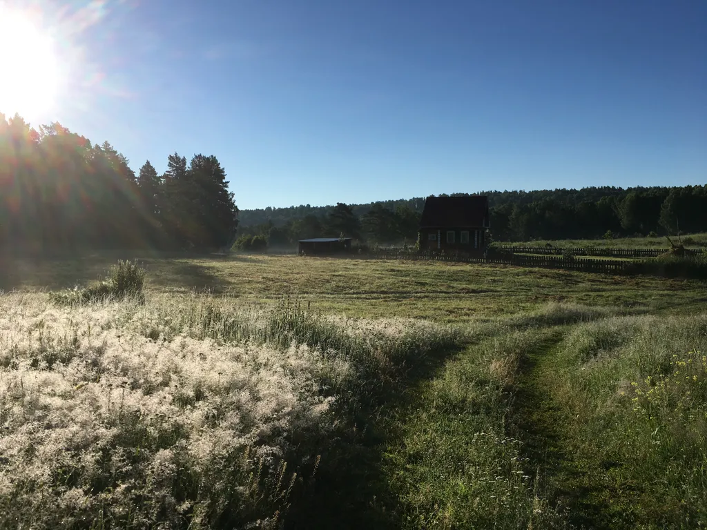 Уютные деревянные домики на Елани