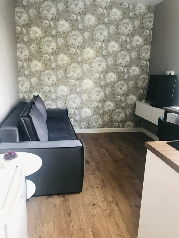 Уютная студия в новом доме, метро Горки 15 в минутах