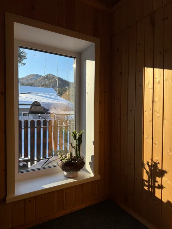 Уютный кедровый дом