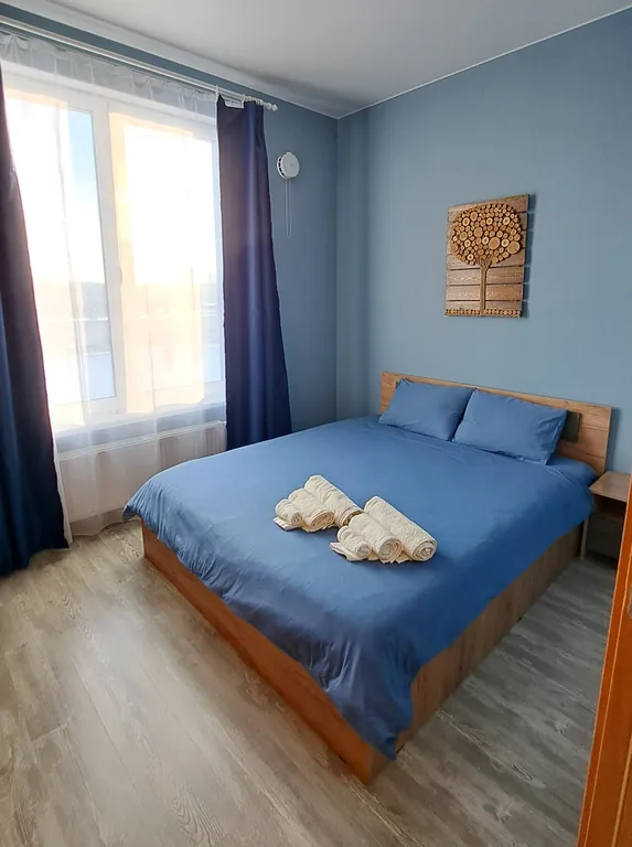 Квартира у кадетского училища — аренда посуточно в Петрозаводск