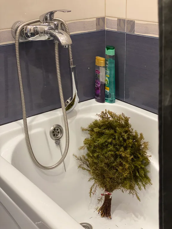 Белые горошины с видом на Marriott, горы, казино