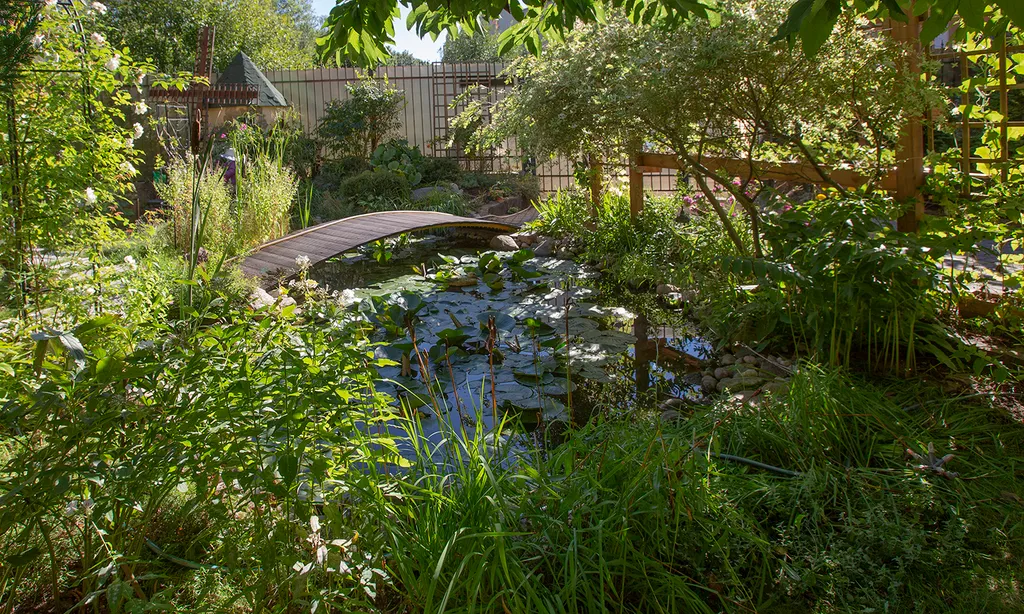 Квартира 1-комнатная Квартира — Светлогорск