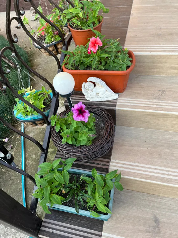 Тихий райский уголок