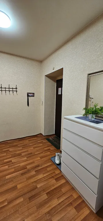 Уютная квартира с кухней студией