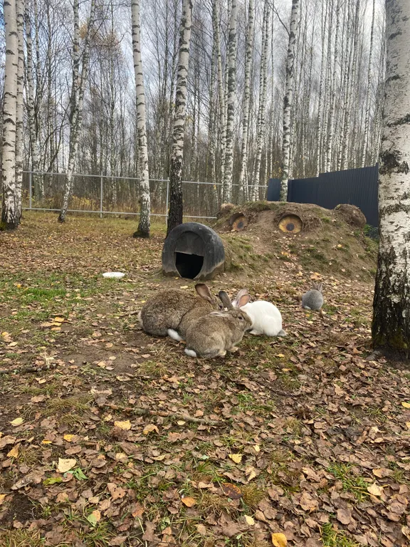 Дом в стиле A-frame