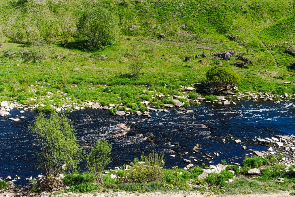 Коттедж 3-комнатный Дом — Тосно