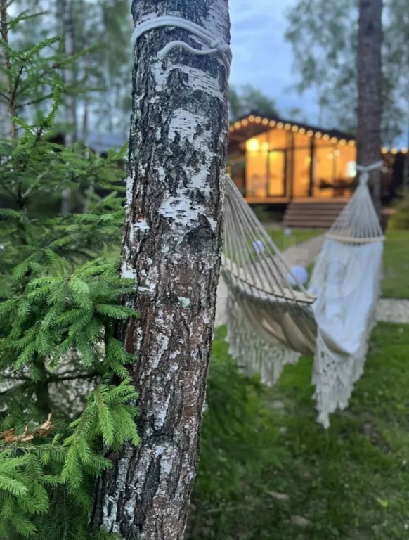 Дом с панорамной сауной, купелью на закрытом лесном участке