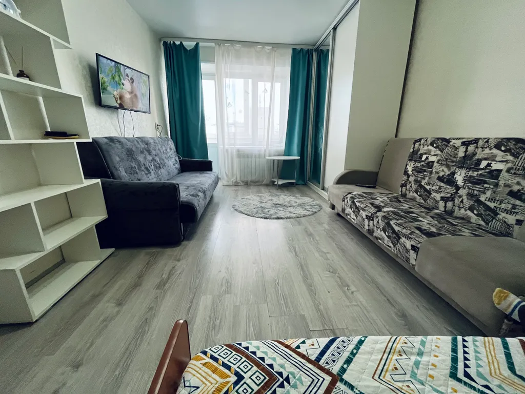 Просторная однокомнатная квартира в центре города