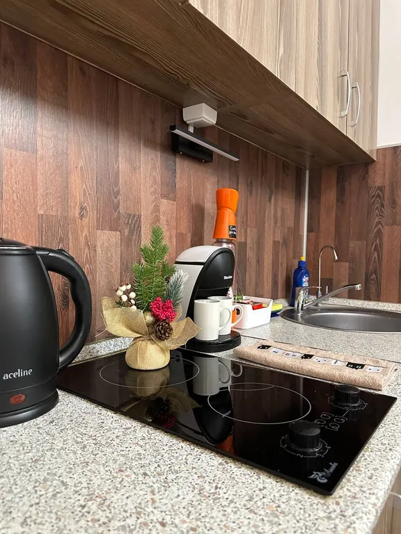 Квартира Уютная квартира-студия — Лобня