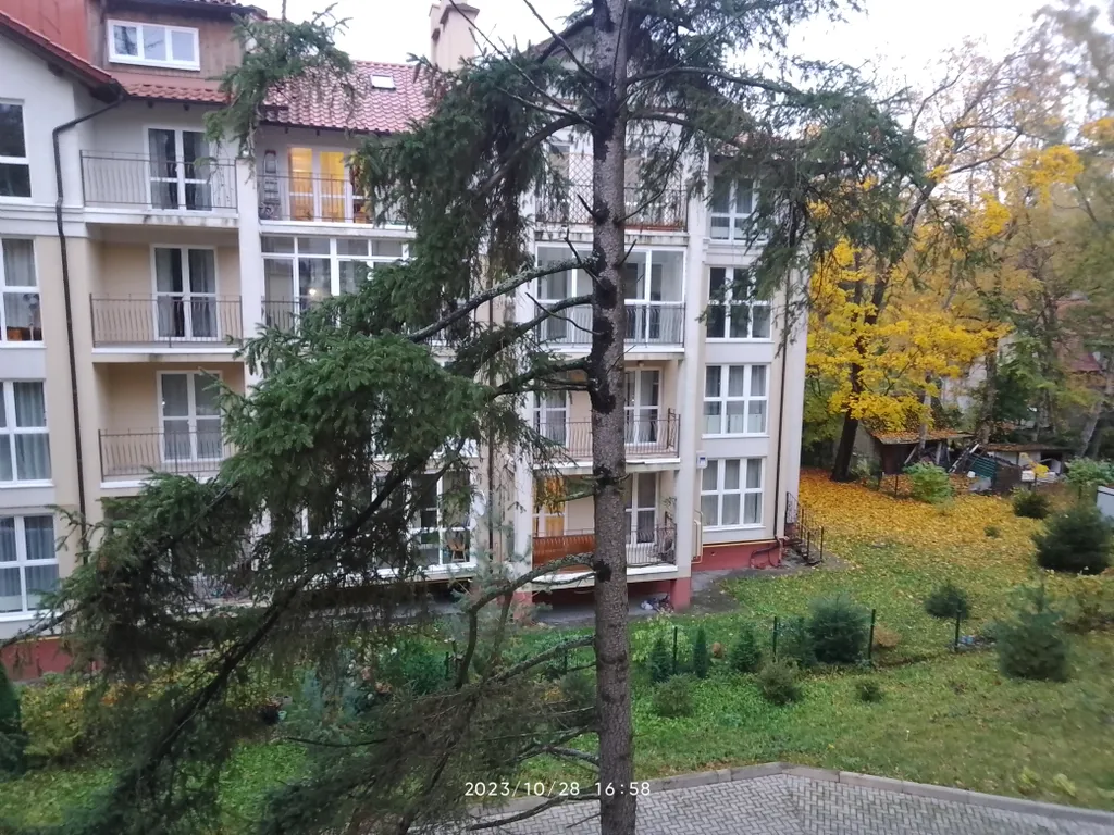 Квартира Уютная квартира в зелёном и тихом районе на берегу Балтийского моря — Светлогорск