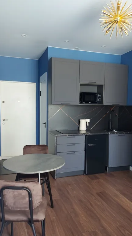 Студия с черным санузлом