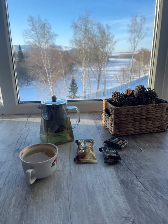 Уютная квартира с видом на горы и реку Катунь — аренда посуточно в Майма