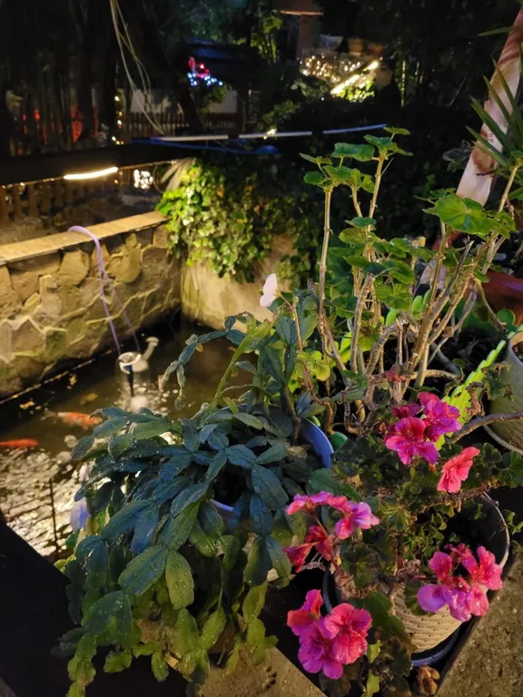 Апартамент Лазурный залив с видом на море 3 этаж