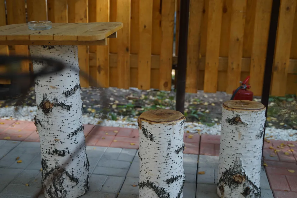 Дом  в березовой роще Заповедный