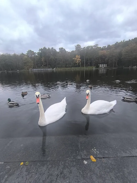 Апартаменты на Майском, оз.Тихое