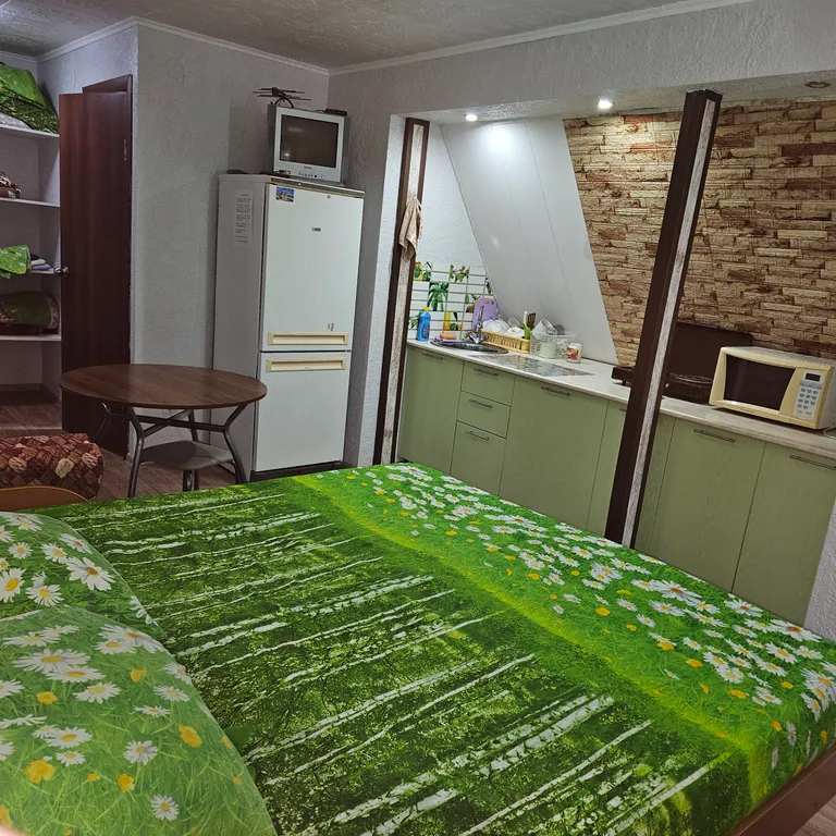 Уютная квартира-студия в центре города