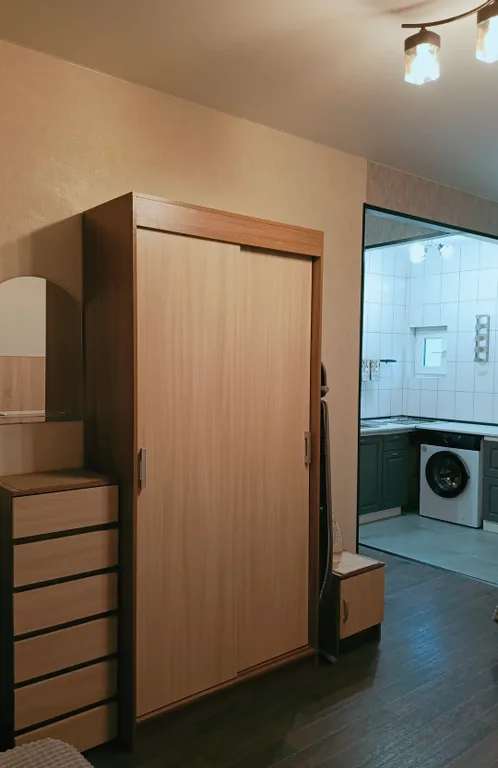 Уютная семейная студия с кухней и стиральной машинкой до 5 человек