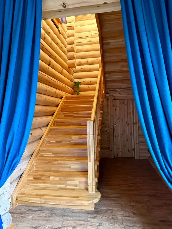 Котедж в заповедном лесу