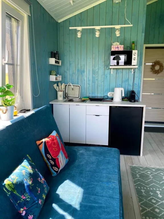 Дизайнерский домик у леса