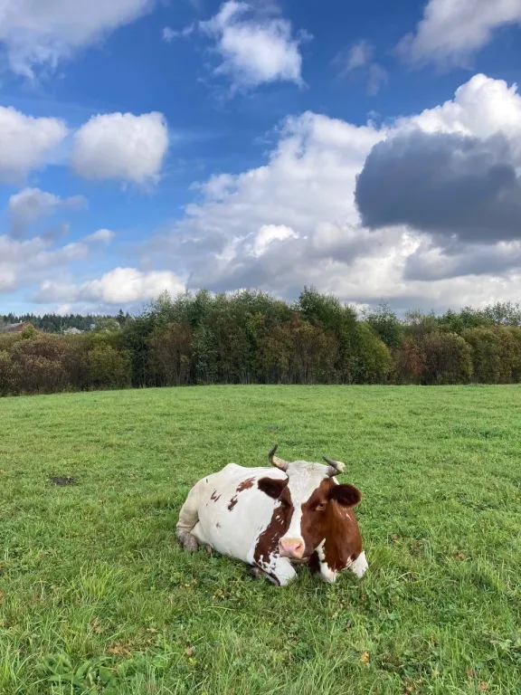 Агроусадьба Ивановых, старый хутор Тауно Туоми