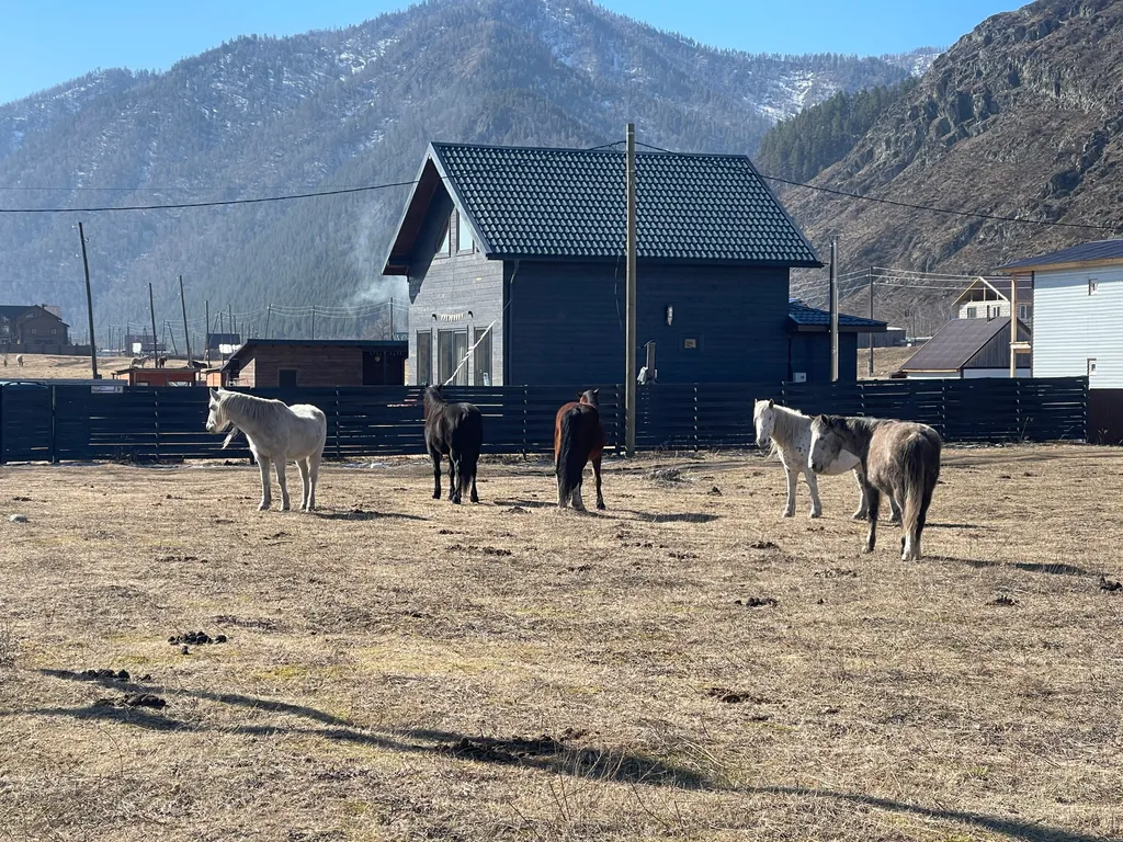 Скандинавский домик
