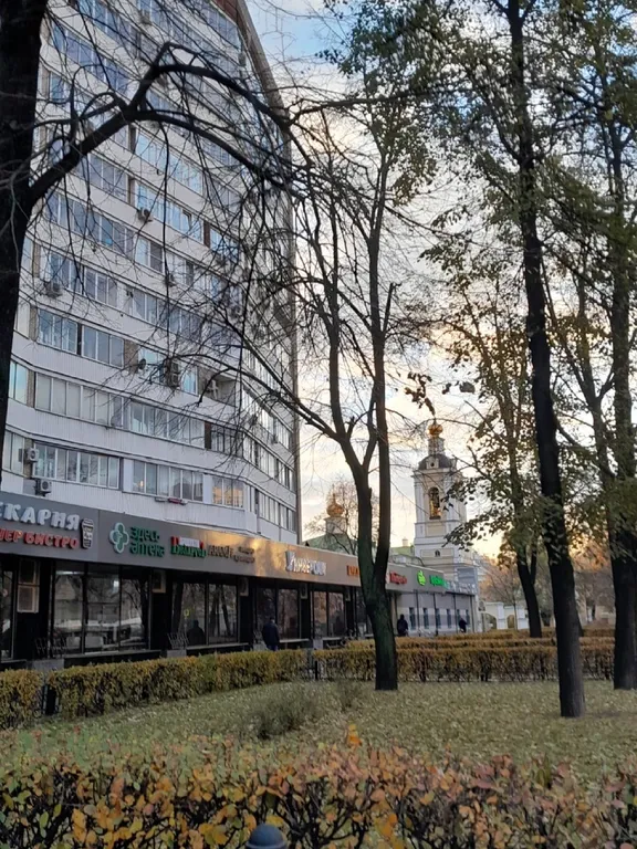 Квартира Квартира Тихий центр, удобно с детьми, шикарные виды — Москва