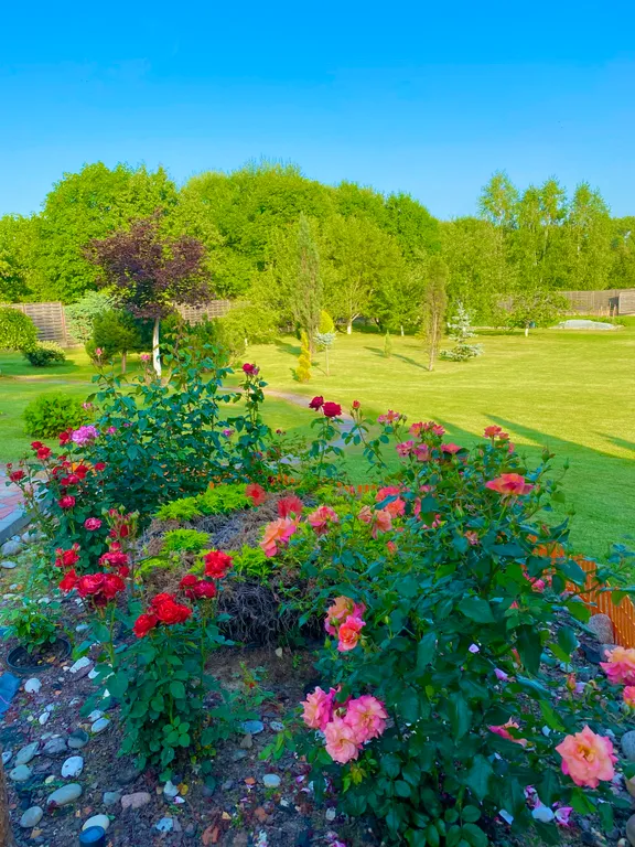 Коттедж Мечта