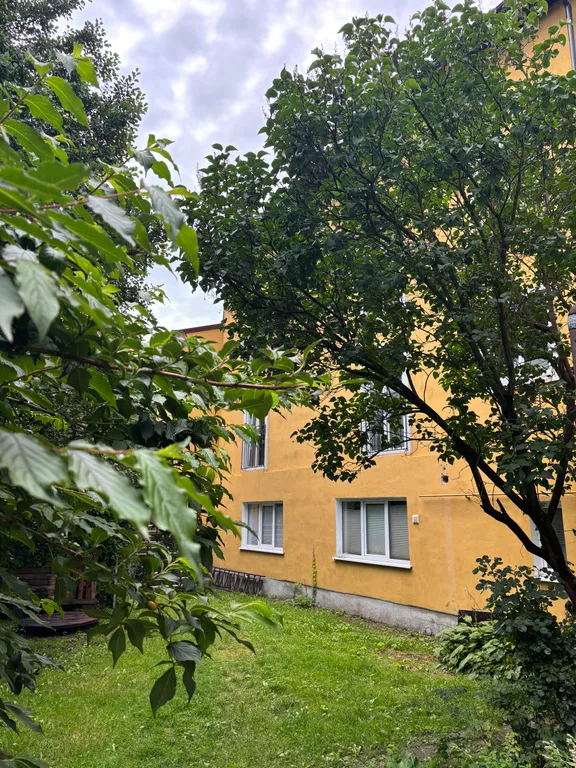 Квартира Комната — Пионерский