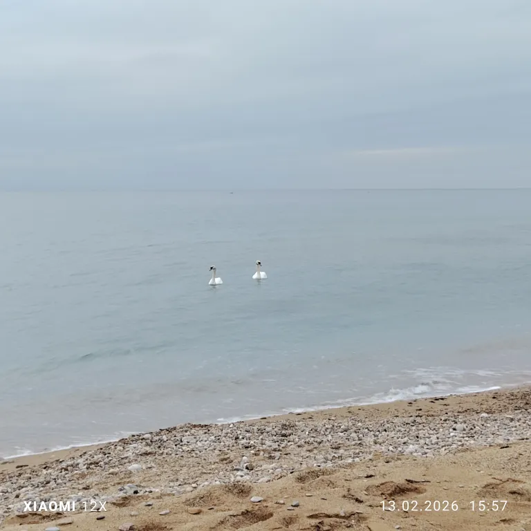 Двухуровневые видовые апартаменты у моря