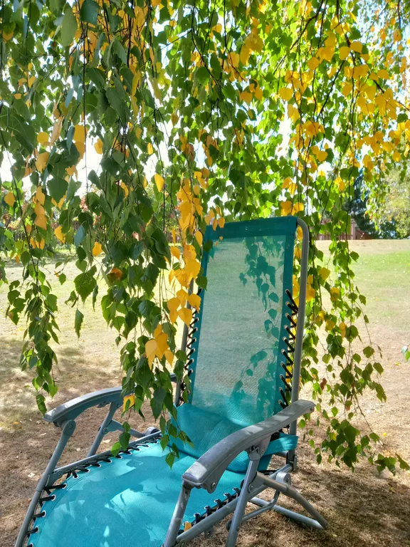 Удобный дом на самом берегу озера Вселуг