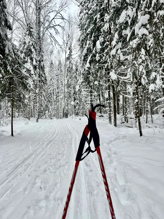 Уютный дом в жилой деревне возле реки